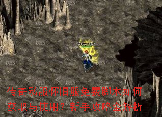 传奇私服怀旧服免费脚本如何获取与使用?新手攻略全解析 传奇私服怀旧服免费脚本如何获取与使用?新手攻略全解析