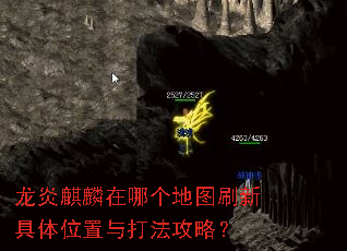 龙炎麒麟在哪个地图刷新具体位置与打法攻略? 龙炎麒麟在哪个地图刷新具体位置与打法攻略?
