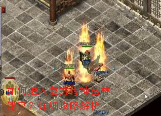 如何进入复古传神丛林迷宫?详细攻略解析 如何进入复古传神丛林迷宫?详细攻略解析