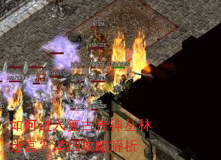 如何进入复古传神丛林迷宫?详细攻略解析 如何进入复古传神丛林迷宫?详细攻略解析