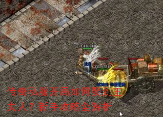 传奇私服开局如何娶到王夫人?新手攻略全解析 传奇私服开局如何娶到王夫人?新手攻略全解析