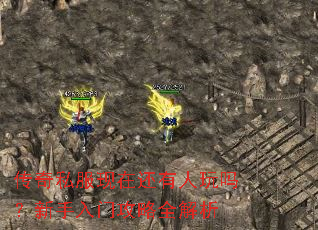 传奇私服现在还有人玩吗?新手入门攻略全解析 传奇私服现在还有人玩吗?新手入门攻略全解析