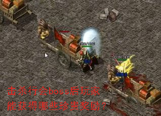 击杀行会boss后玩家能获得哪些珍贵奖励? 击杀行会boss后玩家能获得哪些珍贵奖励?