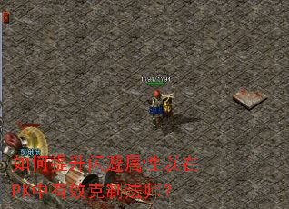 如何提升闪避属性以在PK中有效克制法师? 如何提升闪避属性以在PK中有效克制法师?