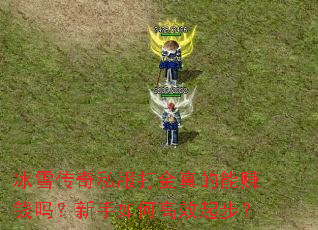 冰雪传奇私服打金真的能赚钱吗?新手如何高效起步? 冰雪传奇私服打金真的能赚钱吗?新手如何高效起步?