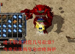 道士职业对应几号勋章?传奇勋章编号全攻略解析 道士职业对应几号勋章?传奇勋章编号全攻略解析