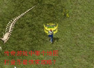 传奇游戏中哪个地图打金币最快求攻略? 传奇游戏中哪个地图打金币最快求攻略?