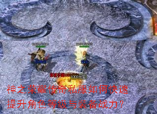 ��֮��ҫ����˽����ο���������ɫ�ȼ���װ��ս����