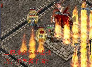 ��ְҵ��ѧ�������ɣ�����������