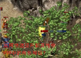 如何快速提升新开传奇999中的角色等级? 如何快速提升新开传奇999中的角色等级?