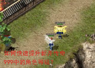如何快速提升新开传奇999中的角色等级? 如何快速提升新开传奇999中的角色等级?