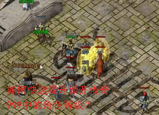 如何快速提升新开传奇999中的角色等级? 如何快速提升新开传奇999中的角色等级?