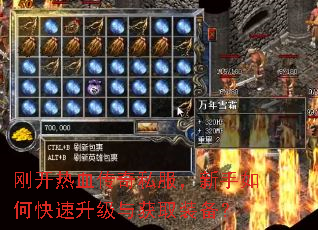 刚开热血传奇私服,新手如何快速升级与获取装备? 刚开热血传奇私服,新手如何快速升级与获取装备?