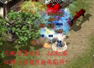 在蛇谷冒险时,JJJ玩家如何巧妙避开剧毒陷阱? 在蛇谷冒险时,JJJ玩家如何巧妙避开剧毒陷阱?