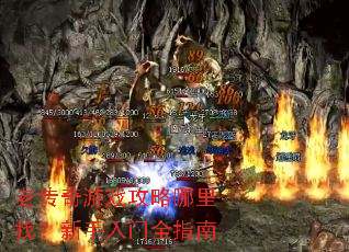 �ϴ�����Ϸ���������ң���������ȫָ��
