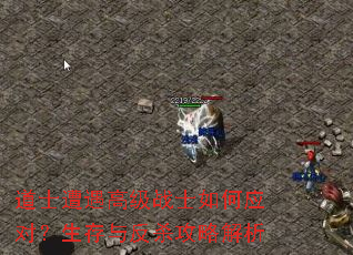 道士遭遇高级战士如何应对?生存与反杀攻略解析 道士遭遇高级战士如何应对?生存与反杀攻略解析