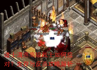 道士遭遇高级战士如何应对?生存与反杀攻略解析 道士遭遇高级战士如何应对?生存与反杀攻略解析