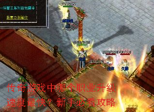 ������Ϸ���ĸ�ְҵ�����ٶ���죿���ֱؿ�����