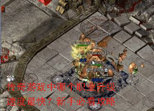 传奇游戏中哪个职业升级速度最快?新手必看攻略 传奇游戏中哪个职业升级速度最快?新手必看攻略