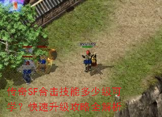 传奇SF合击技能多少级可学?快速升级攻略全解析 传奇SF合击技能多少级可学?快速升级攻略全解析