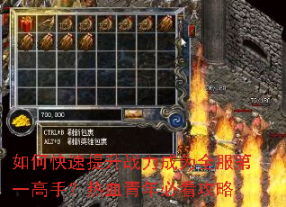 如何快速提升战力成为全服第一高手?热血青年必看攻略 如何快速提升战力成为全服第一高手?热血青年必看攻略