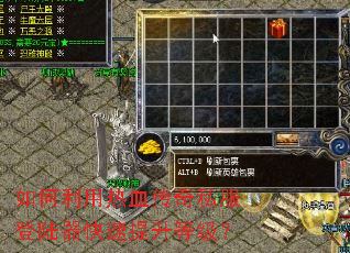 如何利用热血传奇私服登陆器快速提升等级? 如何利用热血传奇私服登陆器快速提升等级?