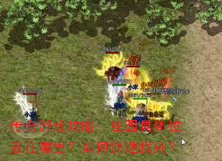 传奇游戏攻略:庄园具体位置在哪里?如何快速找到? 传奇游戏攻略:庄园具体位置在哪里?如何快速找到?