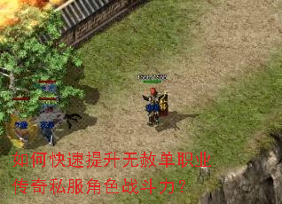 如何快速提升无赦单职业传奇私服角色战斗力? 如何快速提升无赦单职业传奇私服角色战斗力?