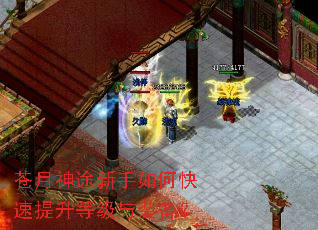 苍月神途新手如何快速提升等级与装备? 苍月神途新手如何快速提升等级与装备?