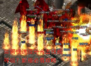 如何快速提升合击技能等级?新服必看攻略 如何快速提升合击技能等级?新服必看攻略