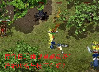 传奇白野猪哪里刷最多?详细攻略与技巧介绍? 传奇白野猪哪里刷最多?详细攻略与技巧介绍?