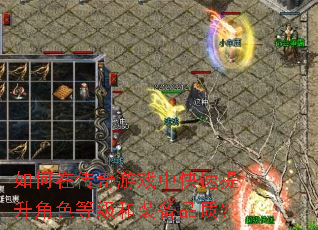 ����ڴ�����Ϸ�п���������ɫ�ȼ���װ��Ʒ�ʣ�