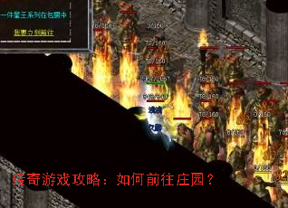 ������Ϸ���ԣ����ǰ��ׯ԰��