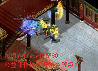 �����ffwow����80���������������ɫ�ȼ���