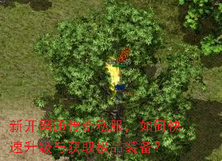 新开网通传奇私服,如何快速升级与获取极品装备? 新开网通传奇私服,如何快速升级与获取极品装备?