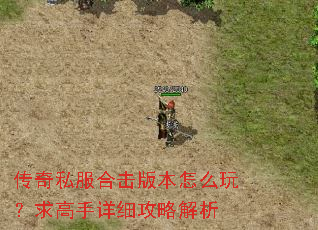 传奇私服合击版本怎么玩?求高手详细攻略解析 传奇私服合击版本怎么玩?求高手详细攻略解析
