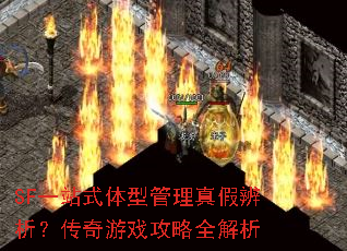 SF一站式体型管理真假辨析?传奇游戏攻略全解析 SF一站式体型管理真假辨析?传奇游戏攻略全解析