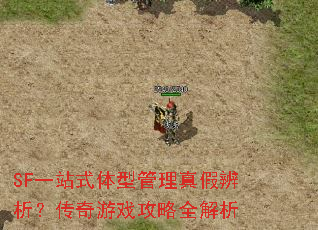 SF一站式体型管理真假辨析?传奇游戏攻略全解析 SF一站式体型管理真假辨析?传奇游戏攻略全解析