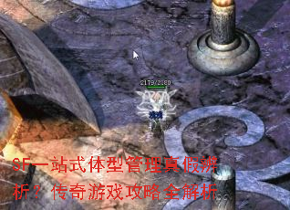 SF一站式体型管理真假辨析?传奇游戏攻略全解析 SF一站式体型管理真假辨析?传奇游戏攻略全解析