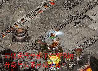 忘忧录传奇新手如何快速升级与获取高级装备? 忘忧录传奇新手如何快速升级与获取高级装备?