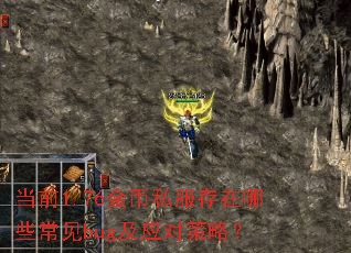 当前1.76金币私服存在哪些常见bug及应对策略? 当前1.76金币私服存在哪些常见bug及应对策略?