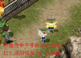 热血传奇千年树妖在哪里打?详细位置与打法攻略 热血传奇千年树妖在哪里打?详细位置与打法攻略