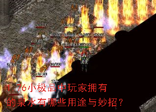 1.76小极品中玩家拥有的泉水有哪些用途与妙招? 1.76小极品中玩家拥有的泉水有哪些用途与妙招?