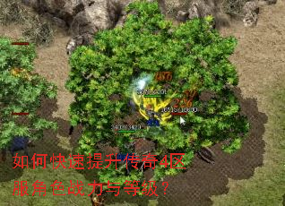 如何快速提升传奇4区服角色战力与等级? 如何快速提升传奇4区服角色战力与等级?