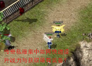 传奇私服案中如何快速提升战力与获取稀有装备? 传奇私服案中如何快速提升战力与获取稀有装备?