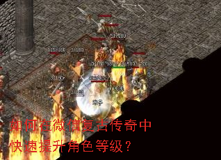 �����΢�Ÿ��Ŵ����п���������ɫ�ȼ���