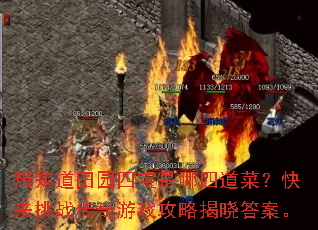 想知道田园四宝是哪四道菜?快来挑战传奇游戏攻略揭晓答案。 想知道田园四宝是哪四道菜?快来挑战传奇游戏攻略揭晓答案。