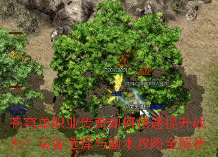 苍穹单职业传奇如何快速提升战力?装备选择与副本攻略全解析 苍穹单职业传奇如何快速提升战力?装备选择与副本攻略全解析