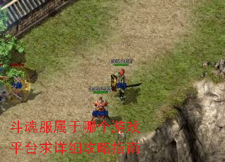 斗魂服属于哪个游戏平台求详细攻略指南 斗魂服属于哪个游戏平台求详细攻略指南