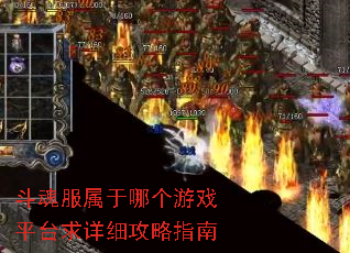 斗魂服属于哪个游戏平台求详细攻略指南 斗魂服属于哪个游戏平台求详细攻略指南